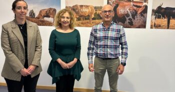 Exposiciones campus Ponferrada