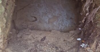 imagen del manantial seco del arroyo de la Buracoa (tomada el 11 abril 2025)
