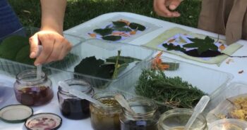 Taller Ecoprint
